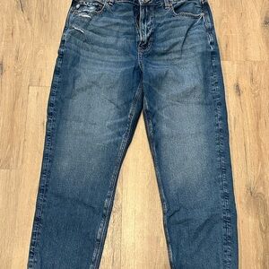 NWT AE Strigid Mom Jean size 12short